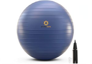 Primasole Exercise Ball Fitness Brand-0